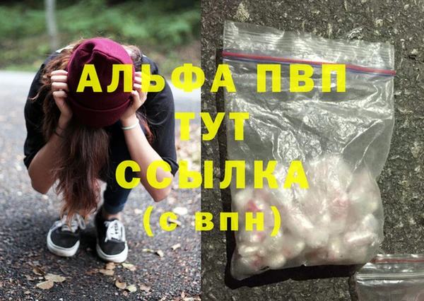 СК Алзамай
