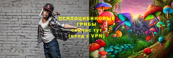 СК Алзамай